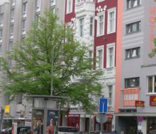 2010-Berlijn-20100205_175434