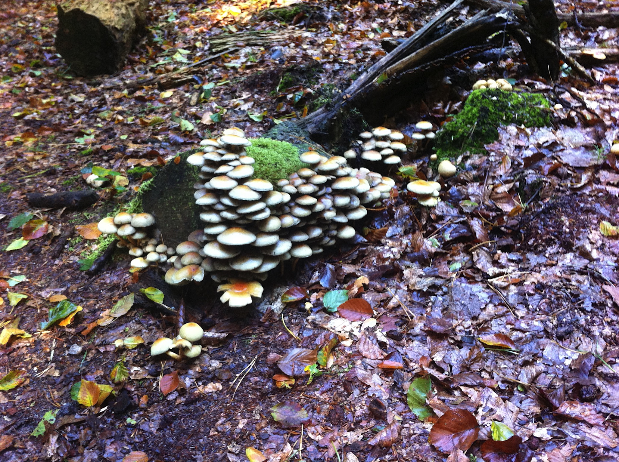 2012-Nijmegen-20121007_112736