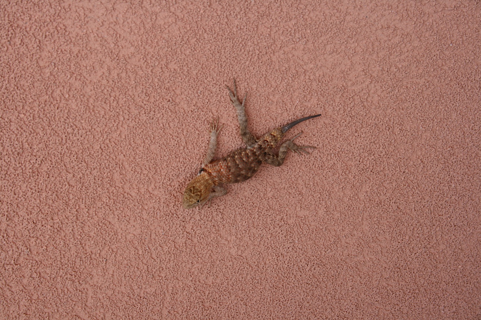 2011-USA-West-20110819_164809