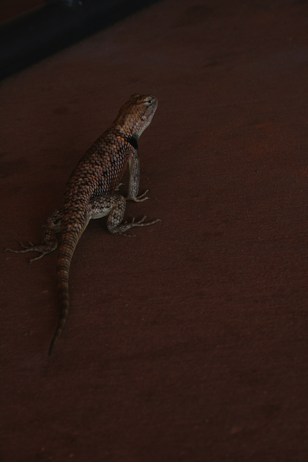 2011-USA-West-20110819_164818