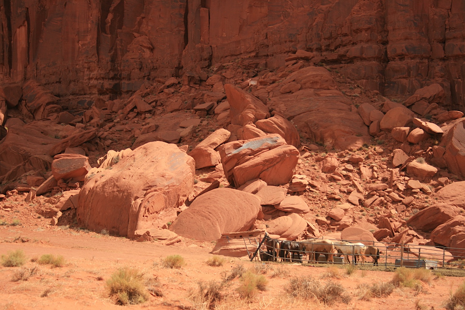 2011-USA-West-20110819_182859