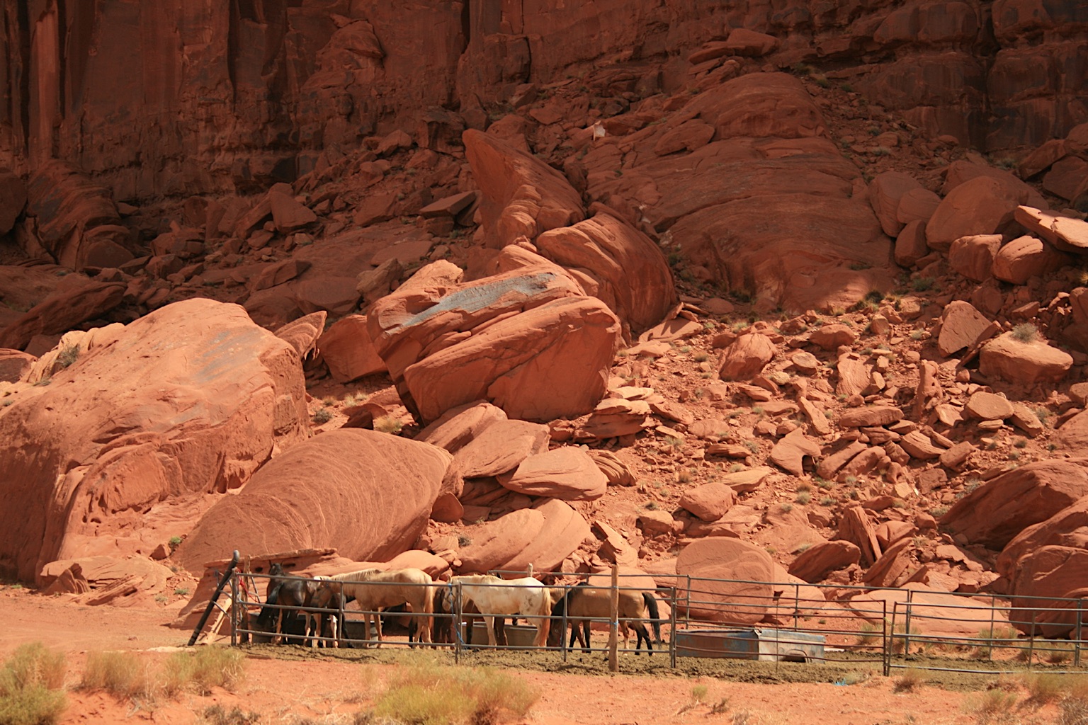 2011-USA-West-20110819_182902