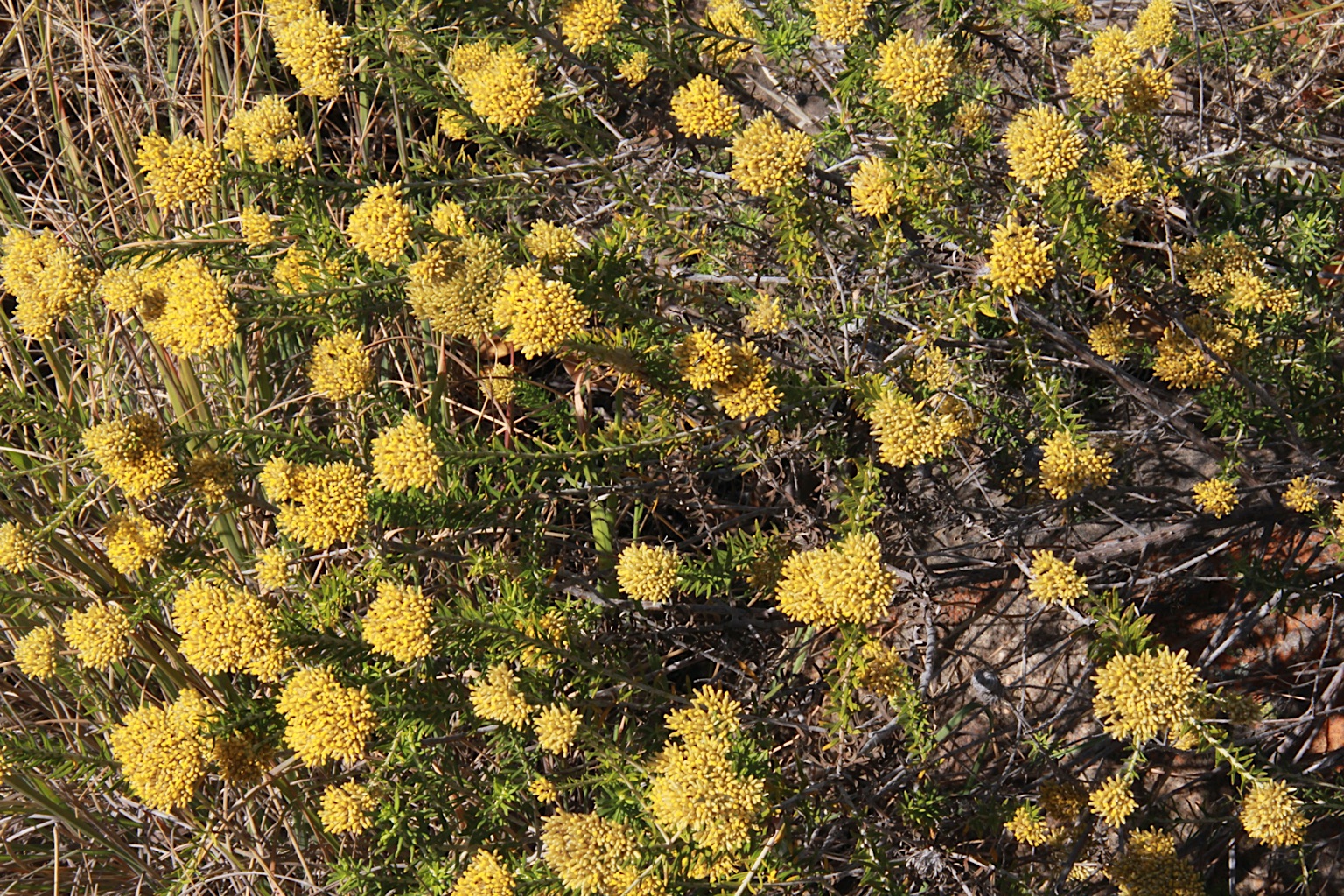 2013-Zuid-Afrika-20130731_104552