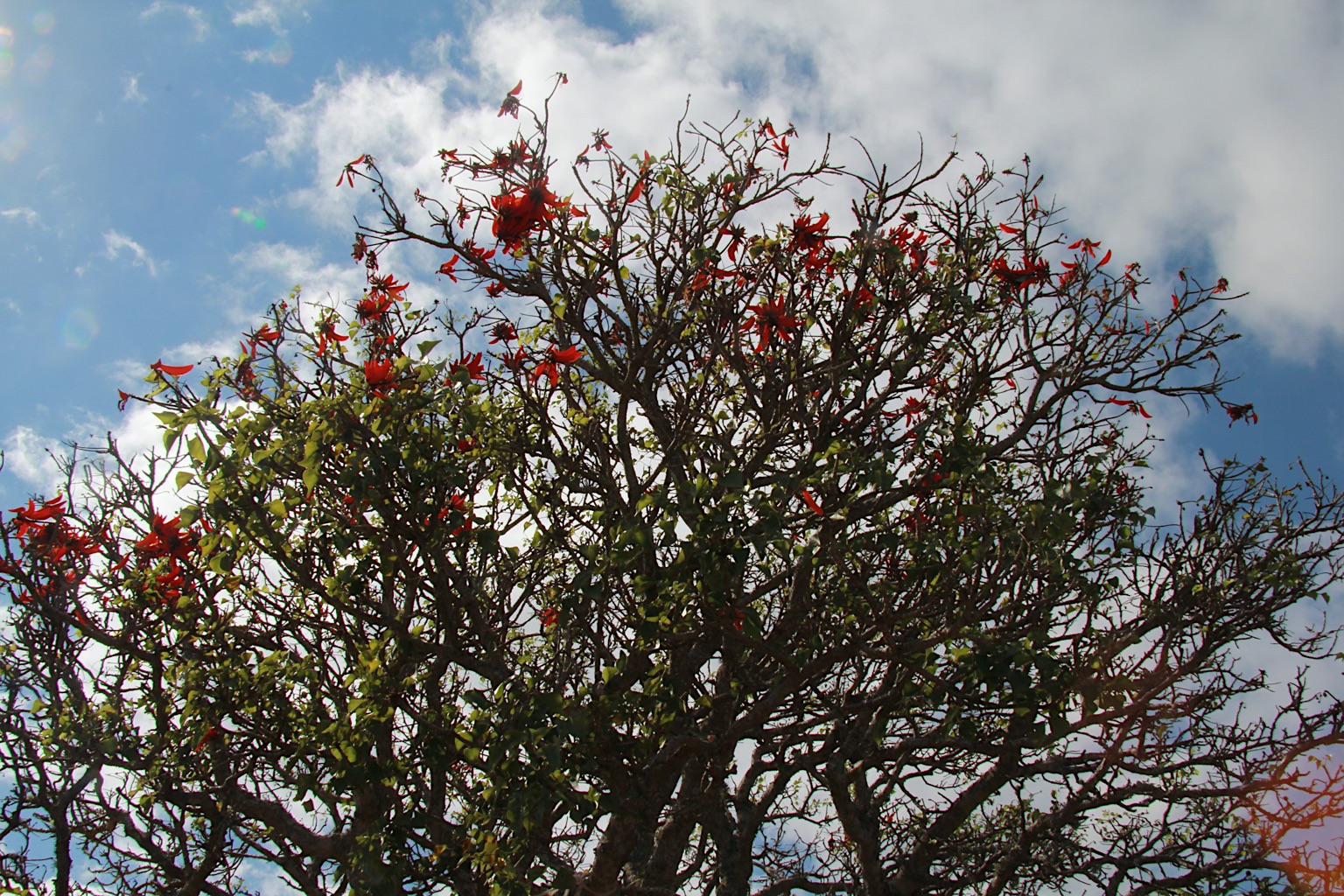 2013-Zuid-Afrika-20130731_110157