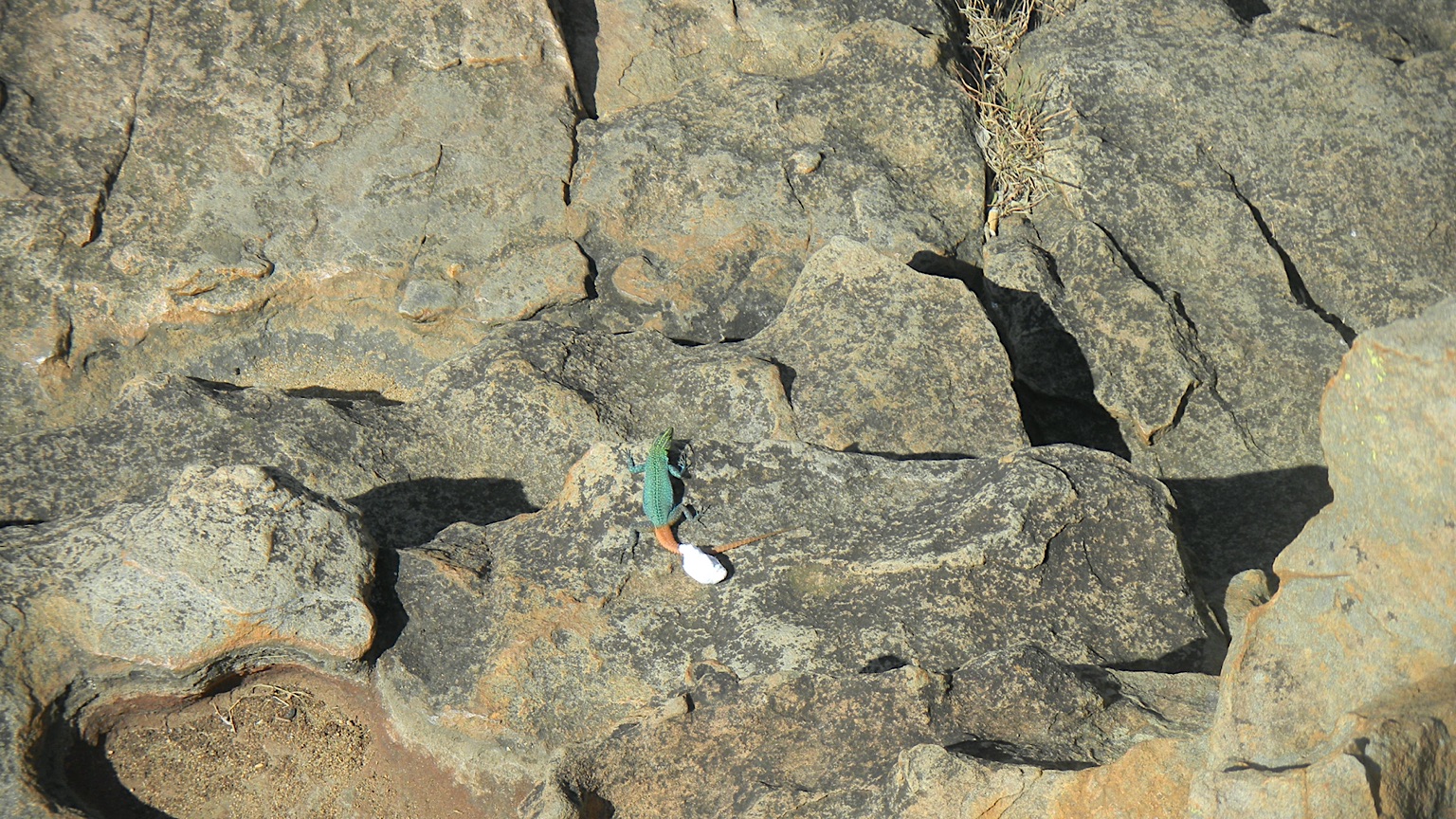 2013-Zuid-Afrika-20130731_114324