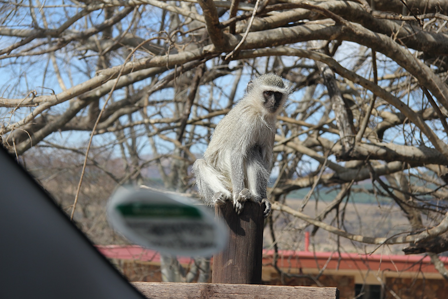 2013-Zuid-Afrika-20130731_122825