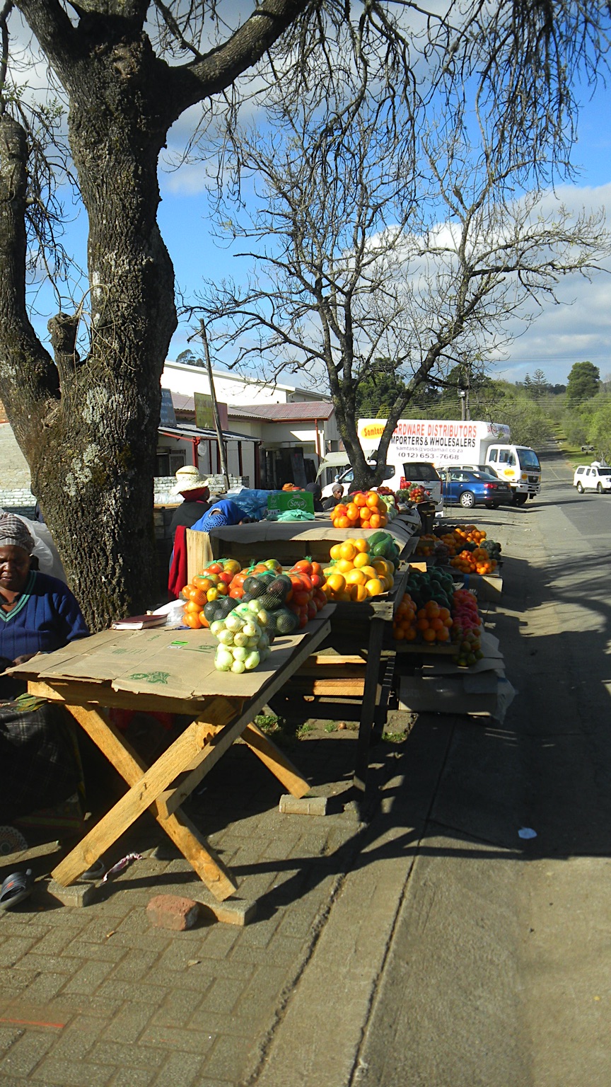 2013-Zuid-Afrika-20130731_145659