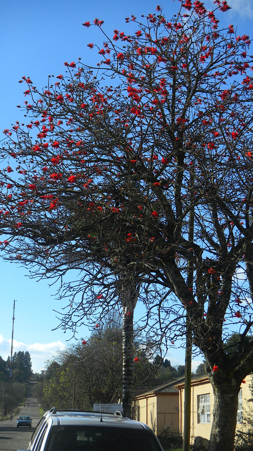 2013-Zuid-Afrika-20130731_152258