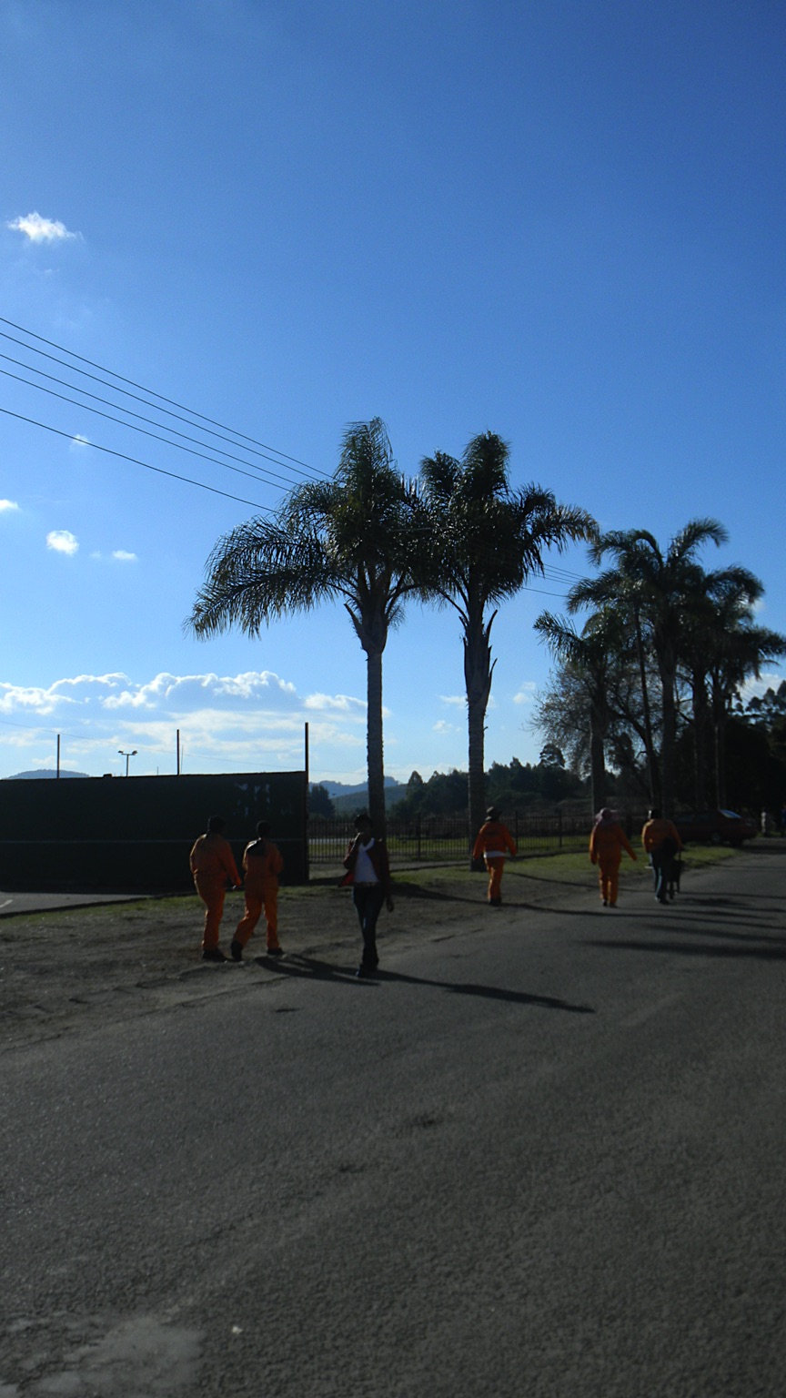 2013-Zuid-Afrika-20130731_152649