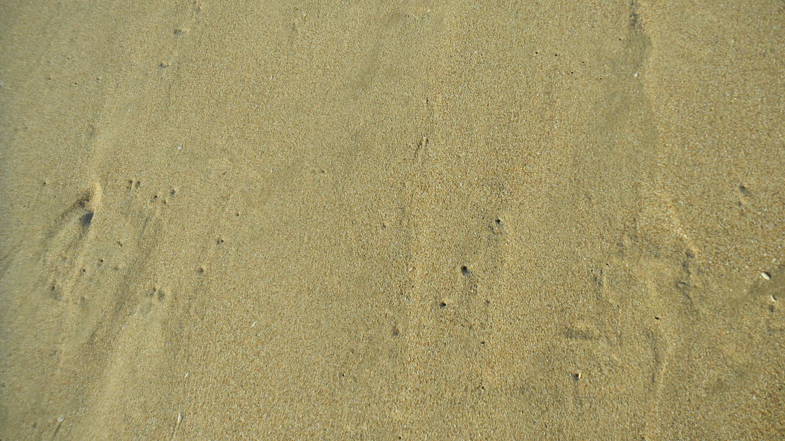 2013-Zuid-Afrika-20130807_151253