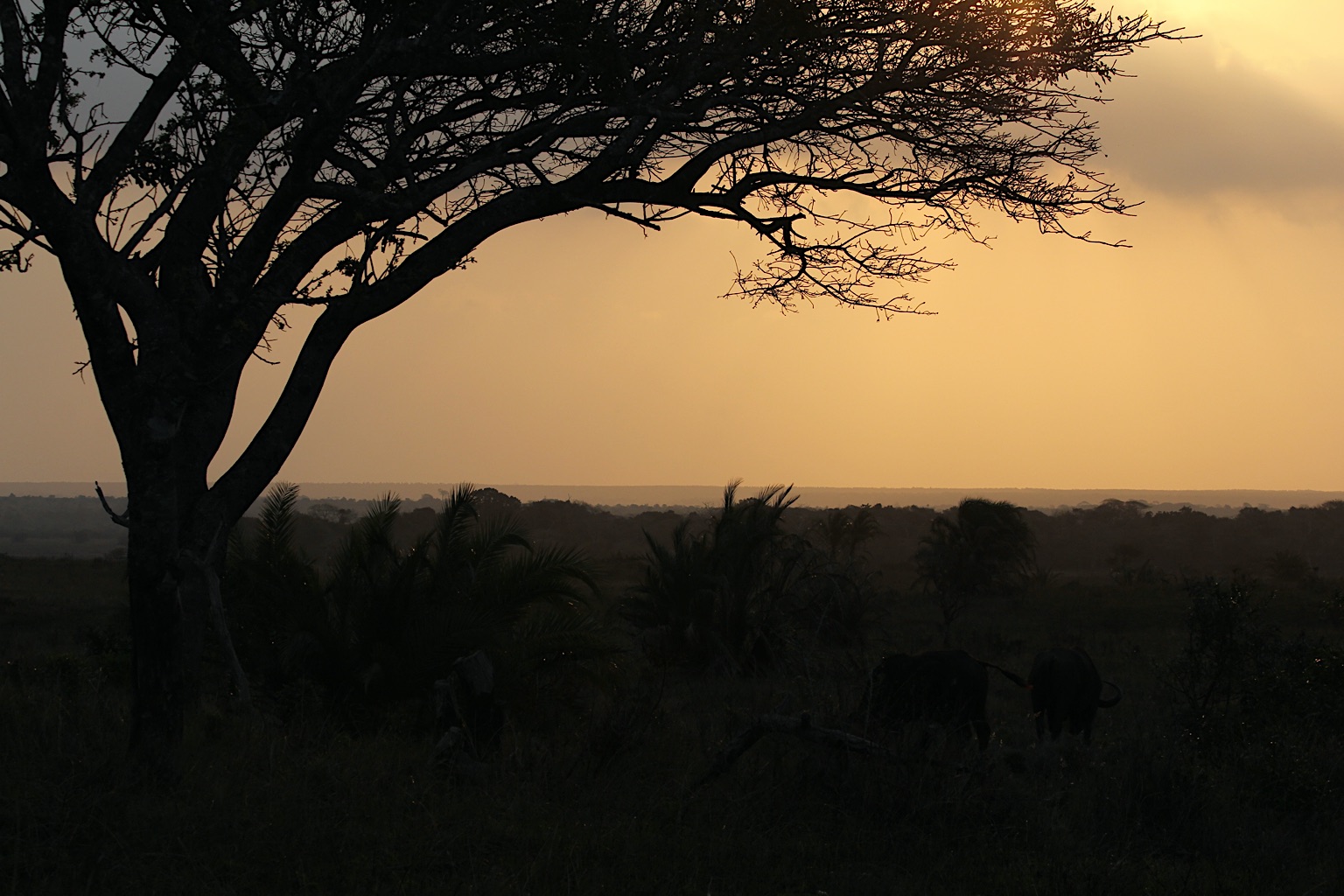2013-Zuid-Afrika-20130808_165007