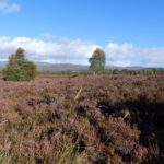 2016-Schotland-20160910_101110