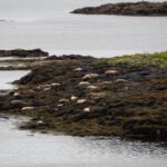 2016-Schotland-20160914_124125
