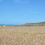 2017-Pas de Calais-20170702_155103