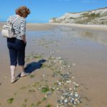 2017-Pas de Calais-20170702_160313