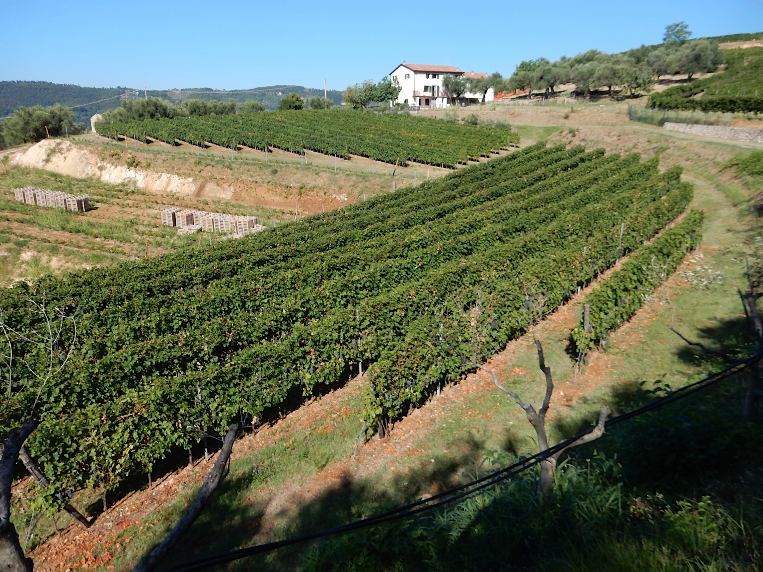 2021-Italië-20210901_102324