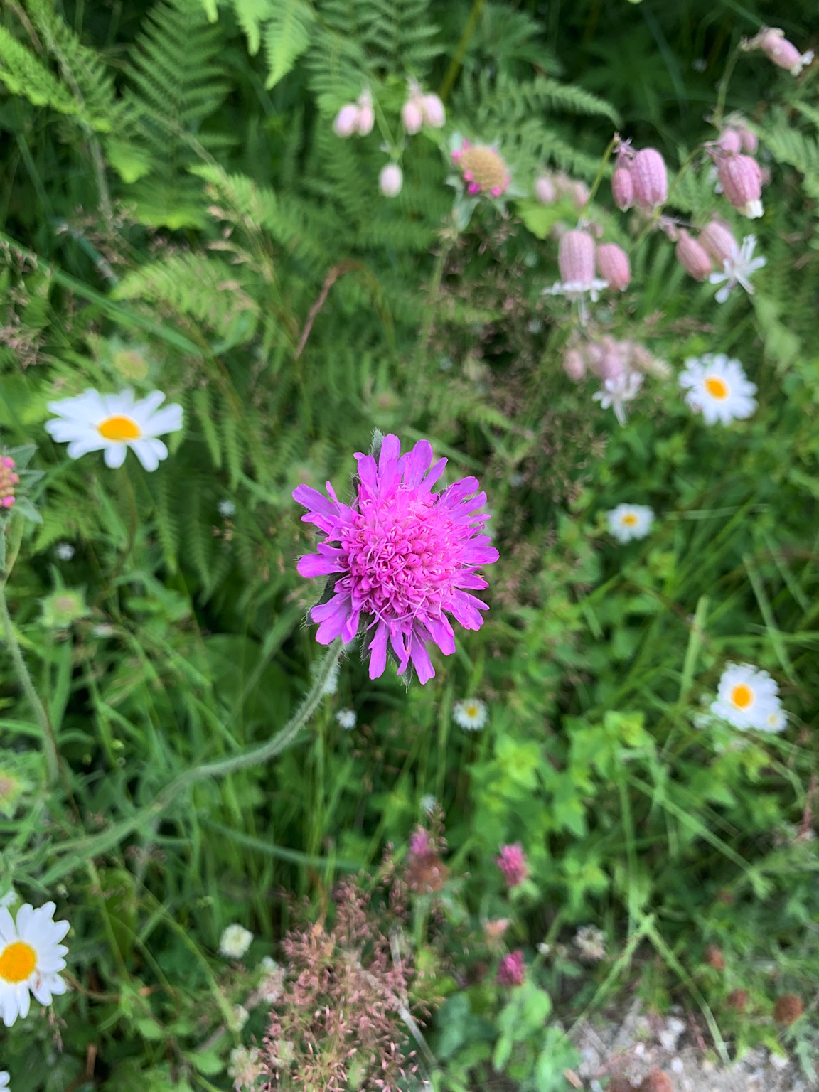 2023-Noorwegen-20230705_100458