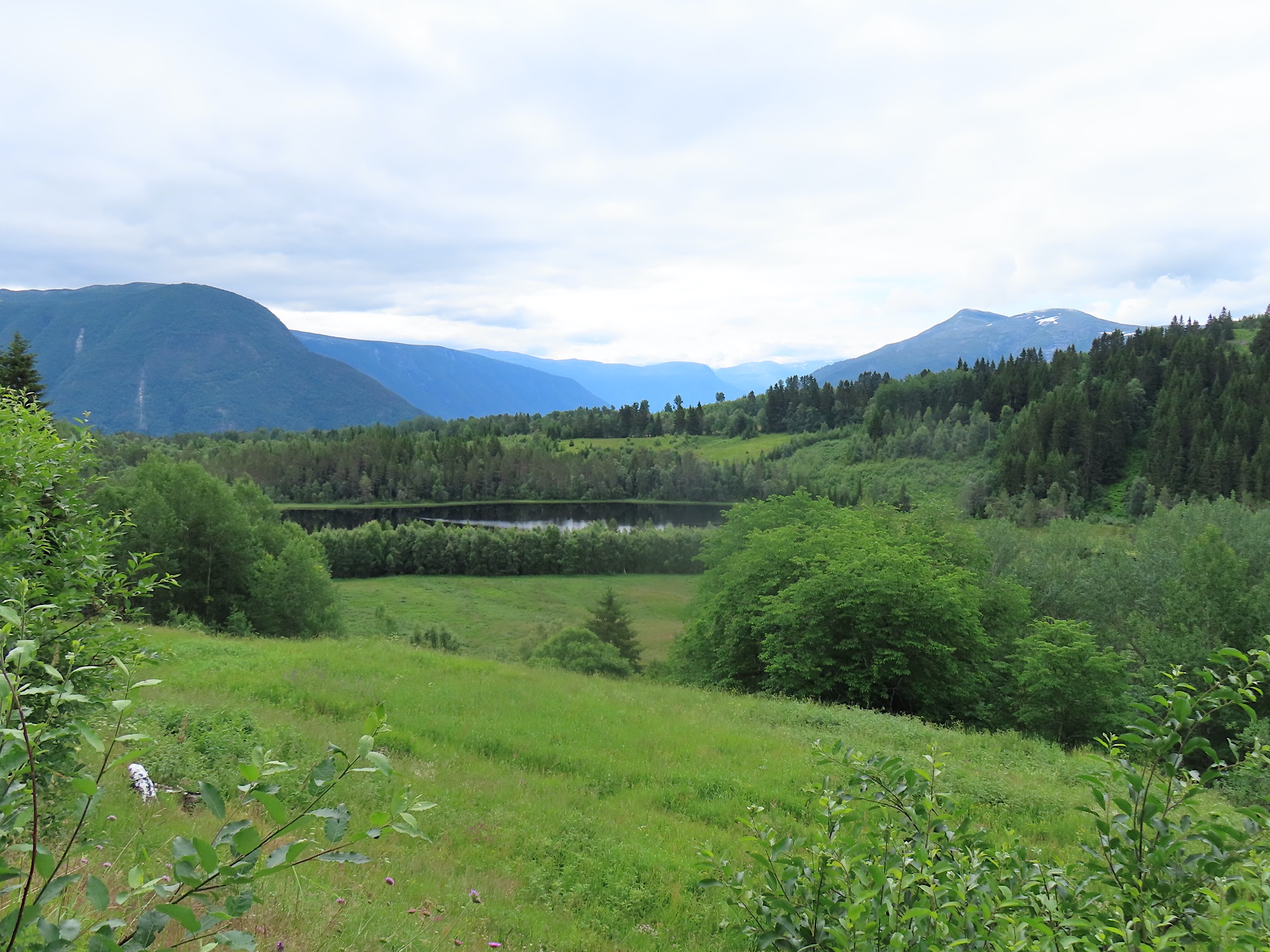 2023-Noorwegen-20230705_100857