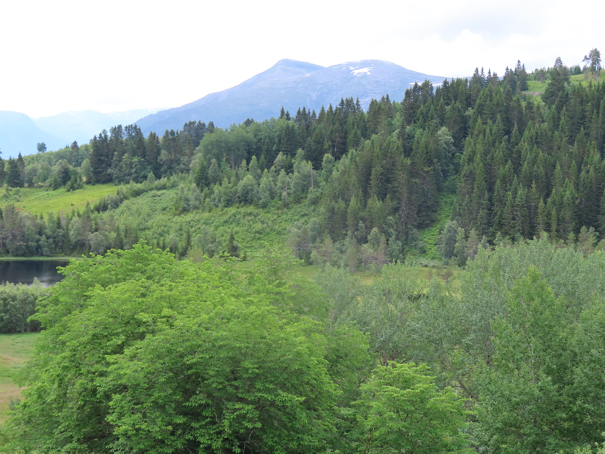 2023-Noorwegen-20230705_100907