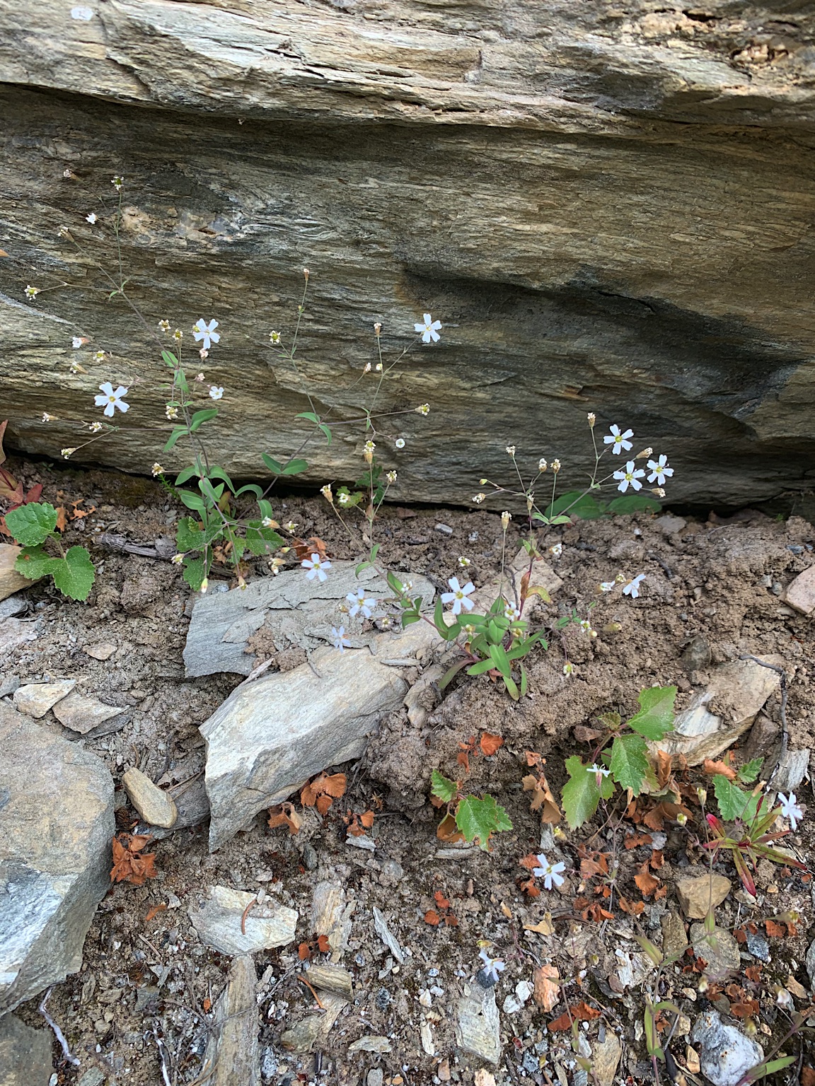 2023-Noorwegen-20230705_101232