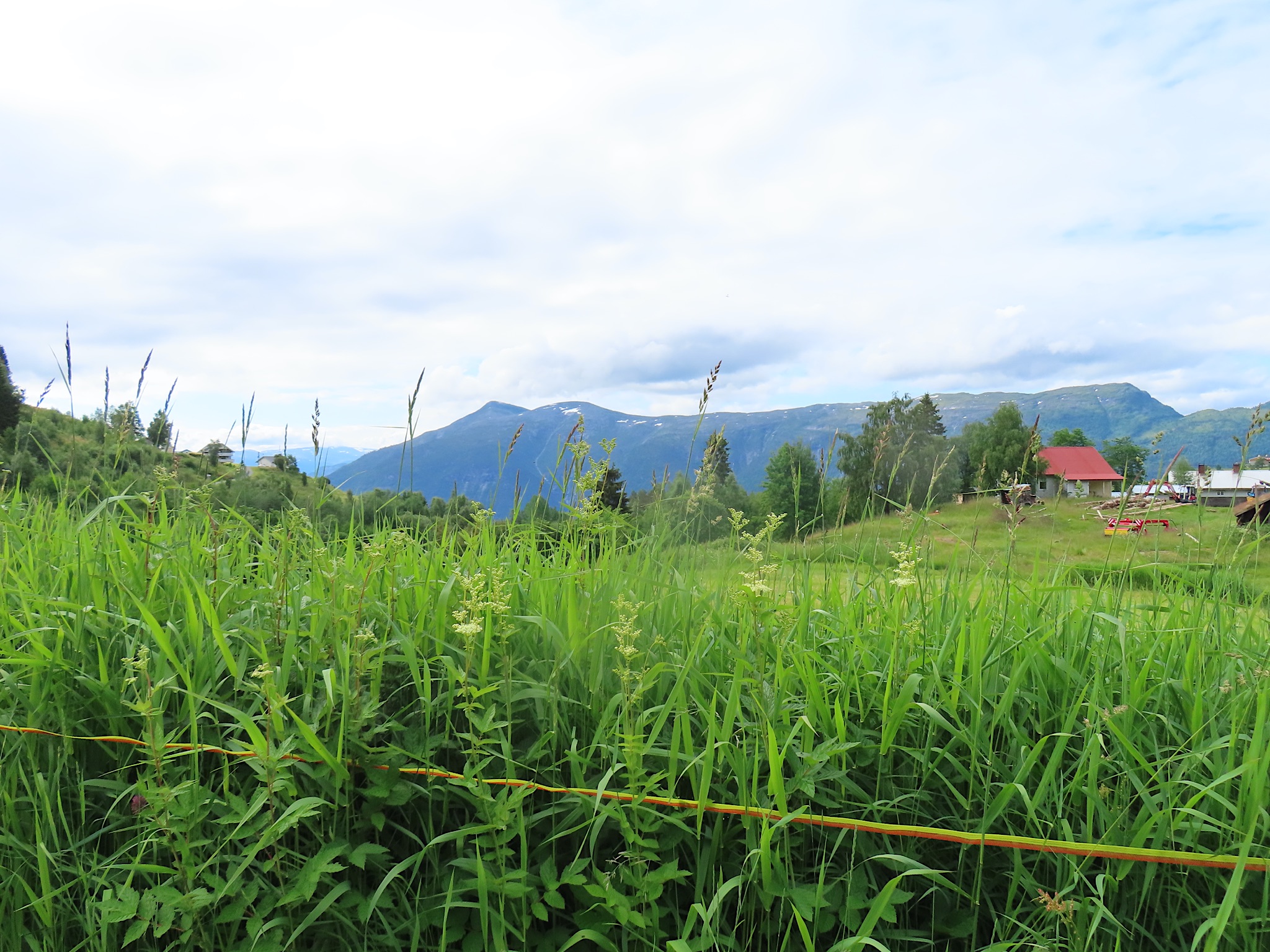 2023-Noorwegen-20230705_102907