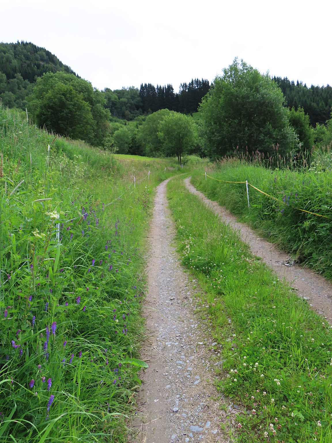 2023-Noorwegen-20230705_102915