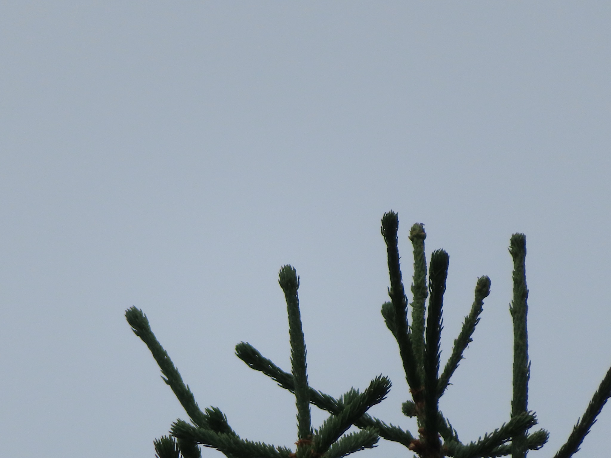 2023-Noorwegen-20230705_104003