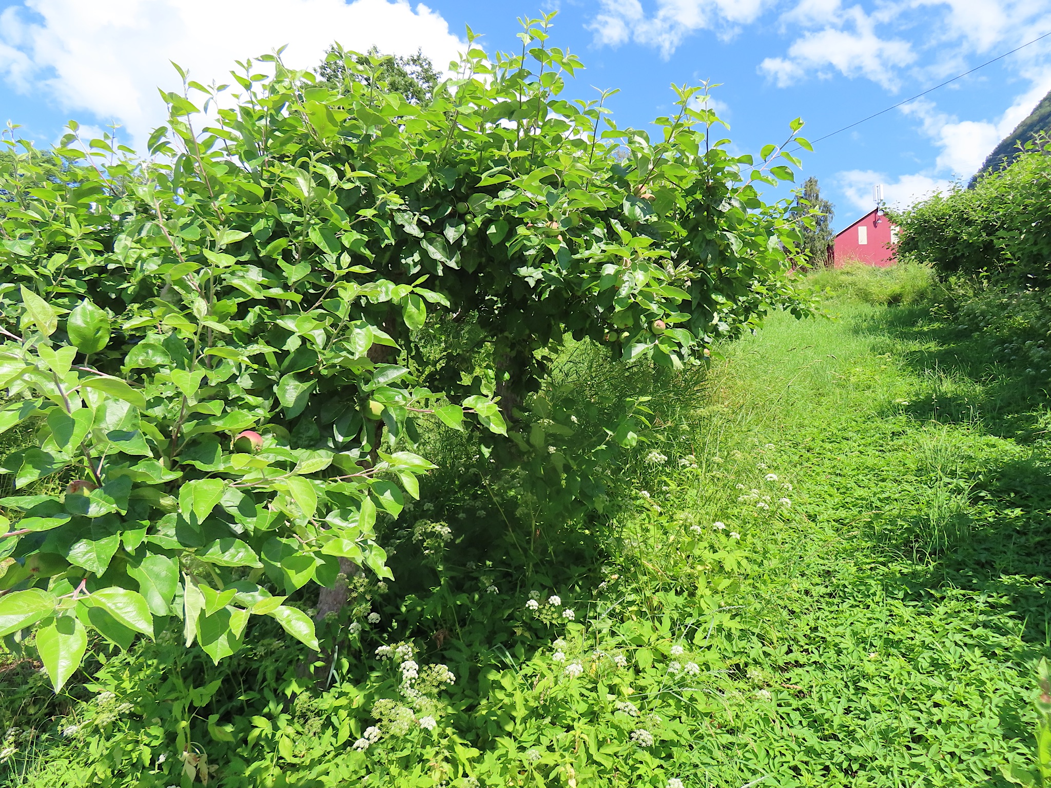 2023-Noorwegen-20230705_141135