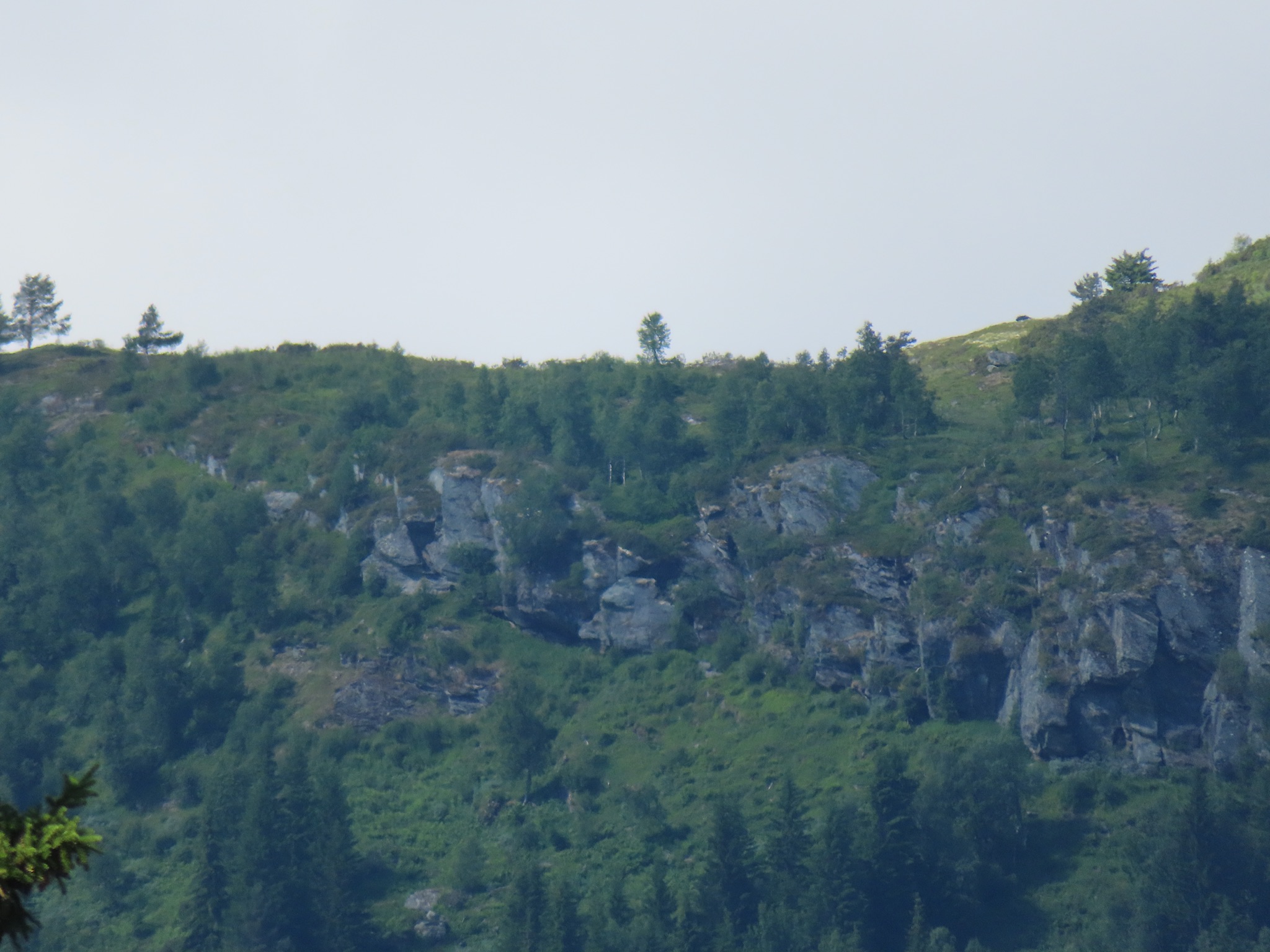 2023-Noorwegen-20230705_152428