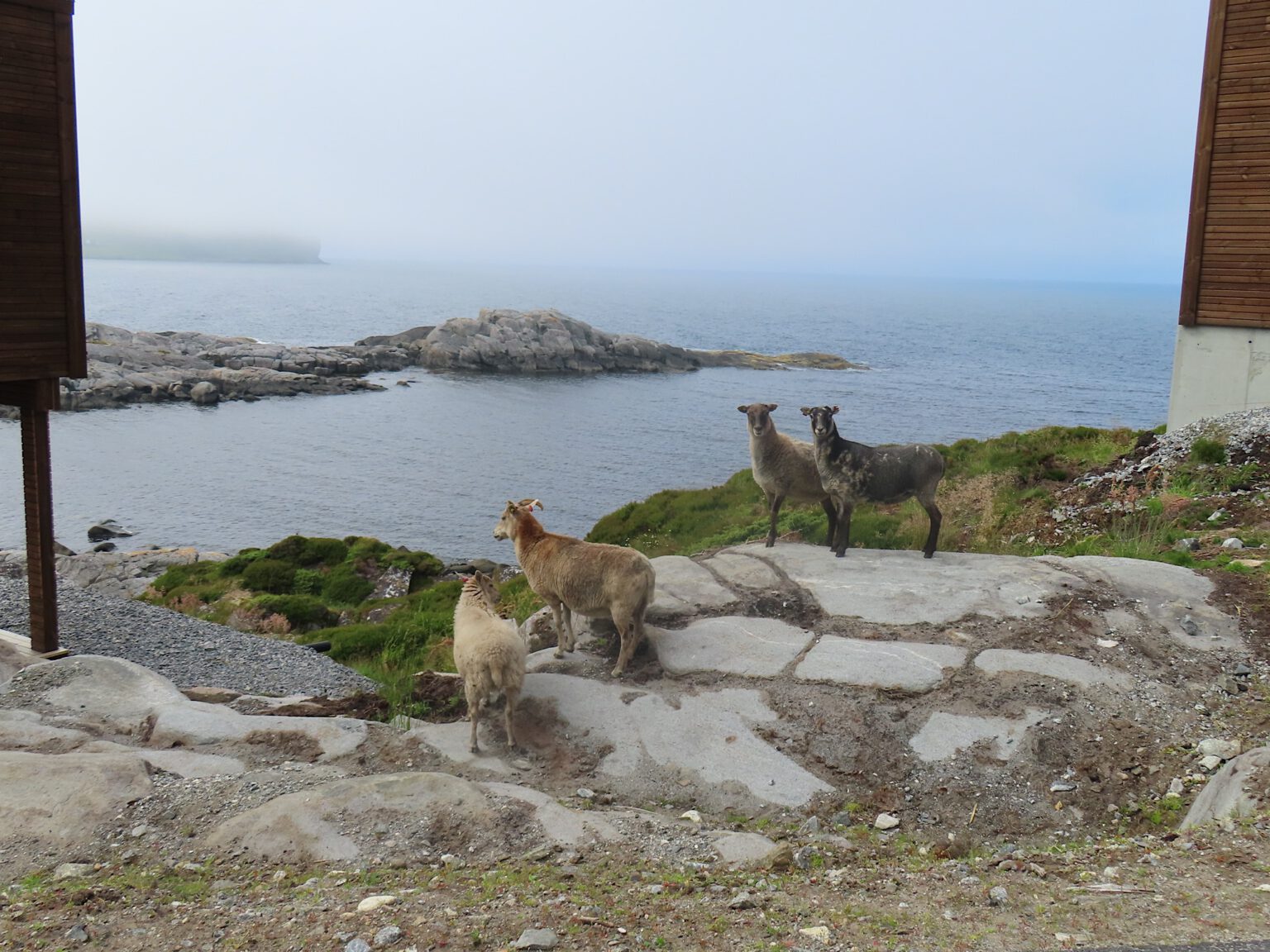 Noorwegen XIII – Runde