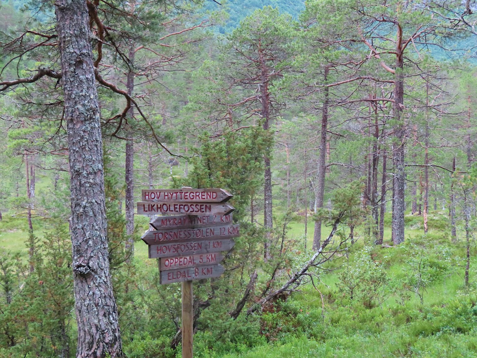 Noorwegen XV – in Hov