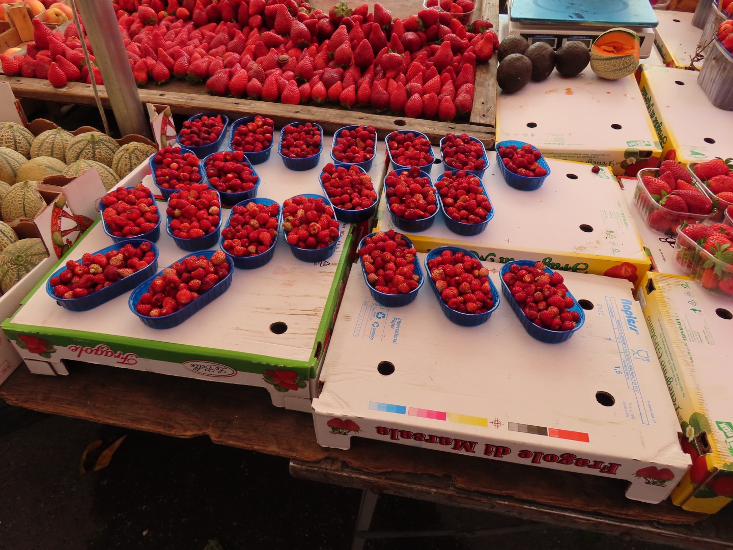 20250403-11_Italië_Sicilië_Giardini Naxos_20250405-102020