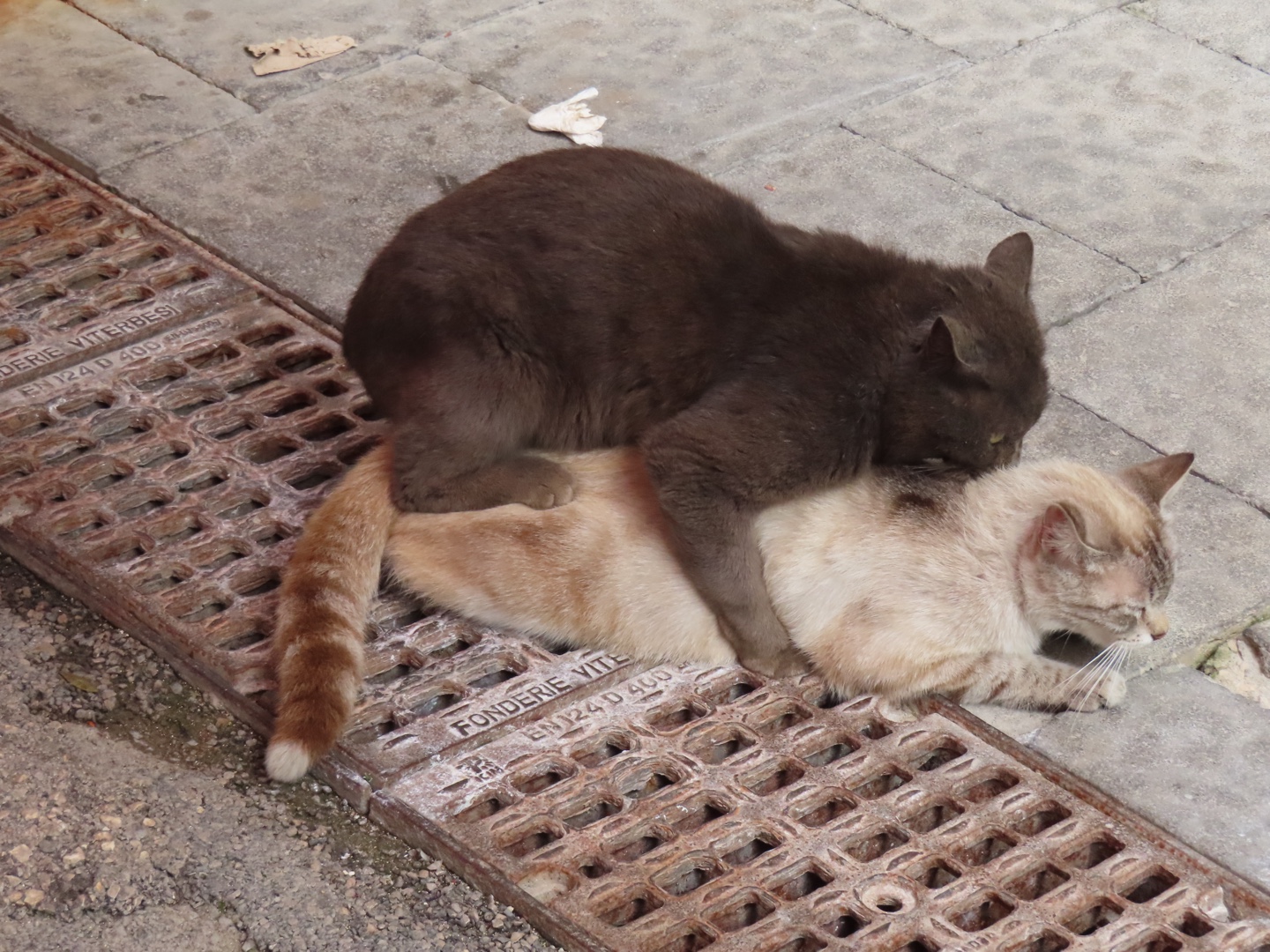 20250403-11_Italië_Sicilië_Giardini Naxos_20250405-123023