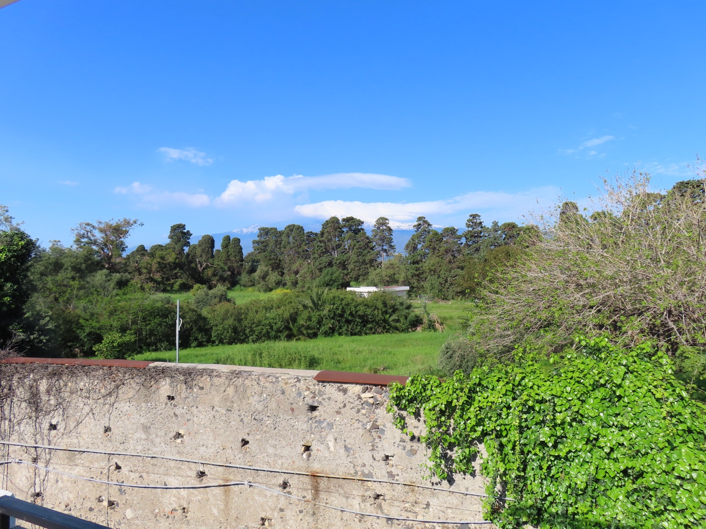 20250403-11_Italië_Sicilië_Giardini Naxos_20250406-081743