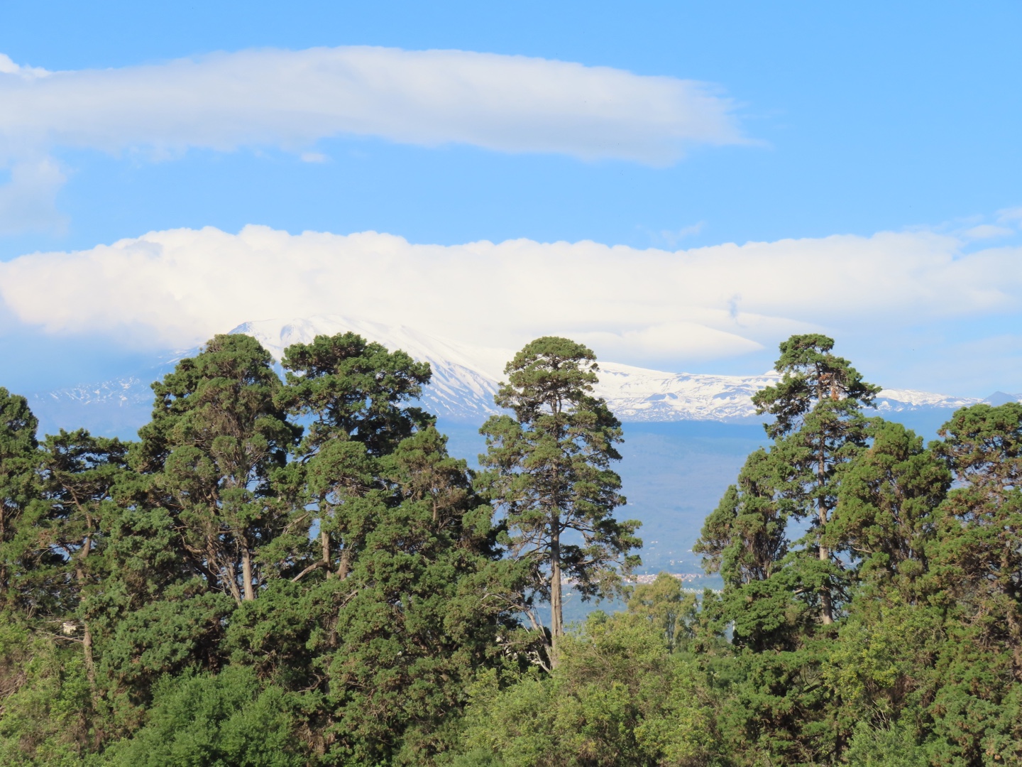 20250403-11_Italië_Sicilië_Giardini Naxos_20250406-081756
