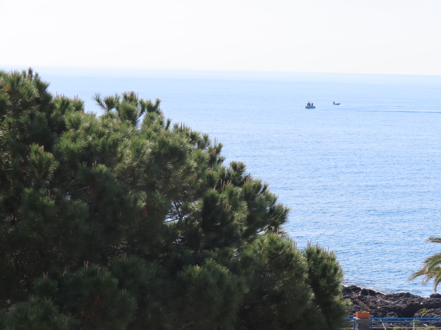 20250403-11_Italië_Sicilië_Giardini Naxos_20250406-081955