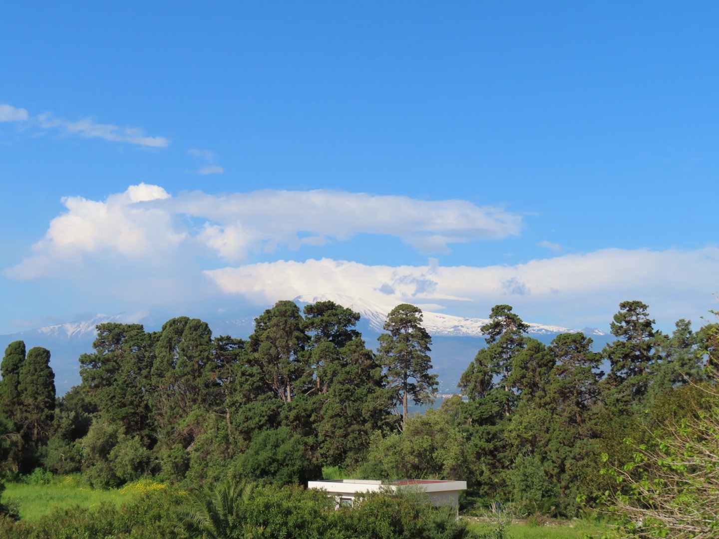 20250403-11_Italië_Sicilië_Giardini Naxos_20250406-082451