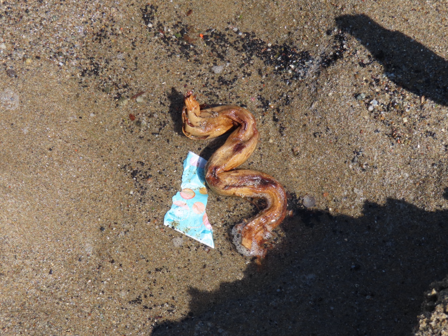 20250403-11_Italië_Sicilië_Giardini Naxos_20250406-100036