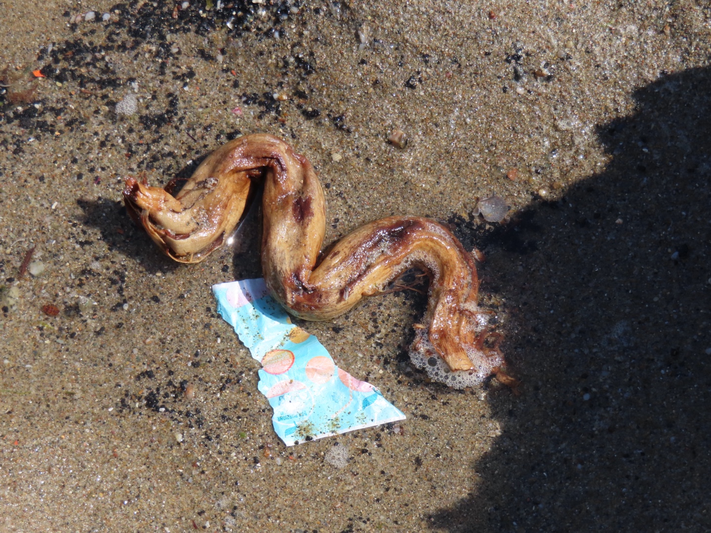 20250403-11_Italië_Sicilië_Giardini Naxos_20250406-100050