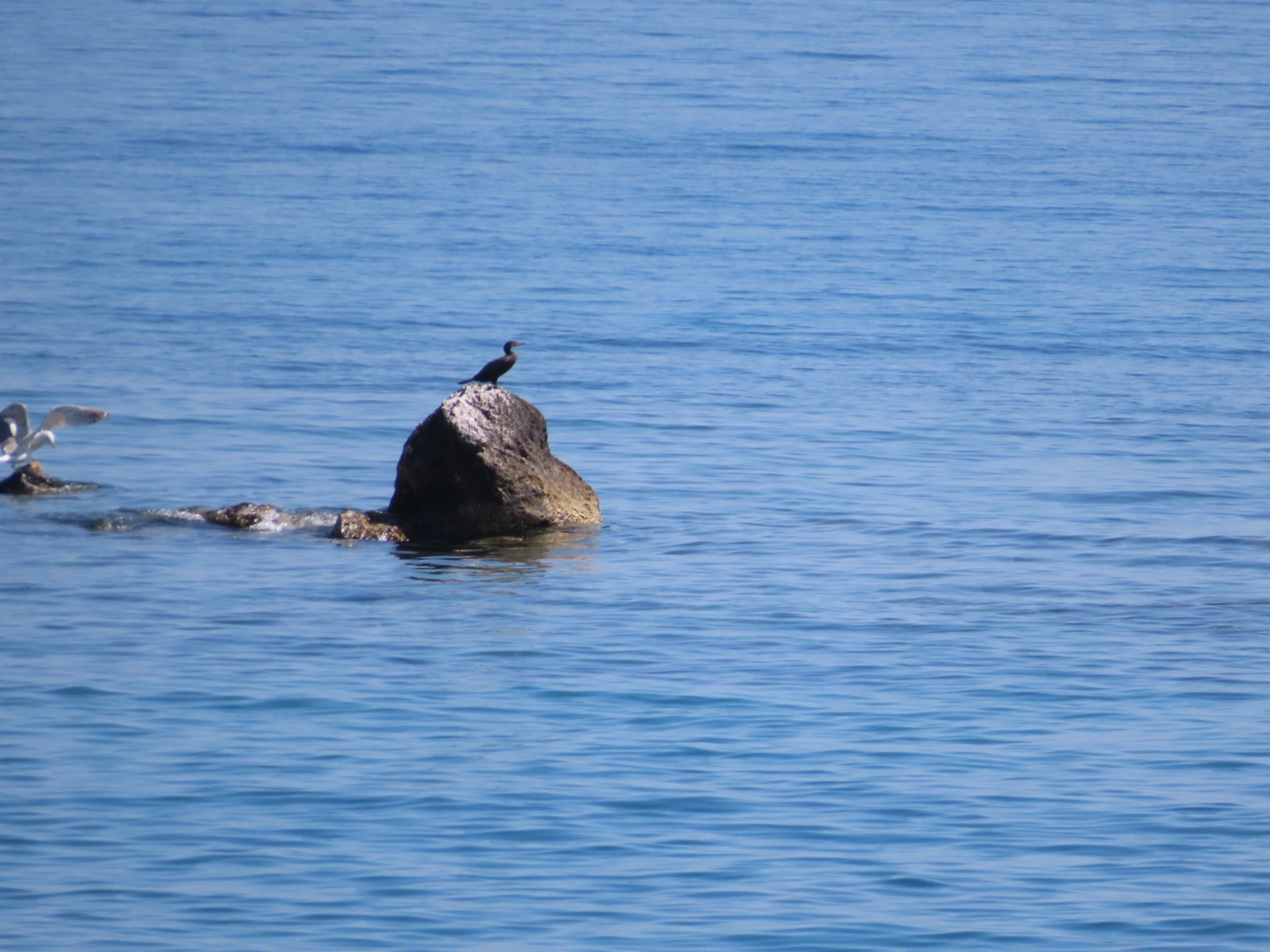 20250403-11_Italië_Sicilië_Giardini Naxos_20250406-102751