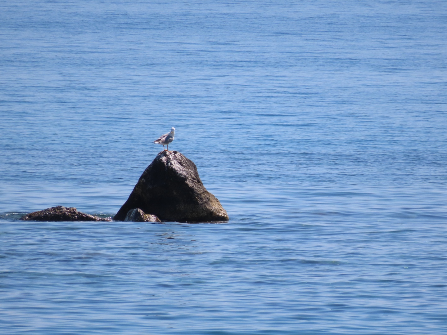 20250403-11_Italië_Sicilië_Giardini Naxos_20250406-103108
