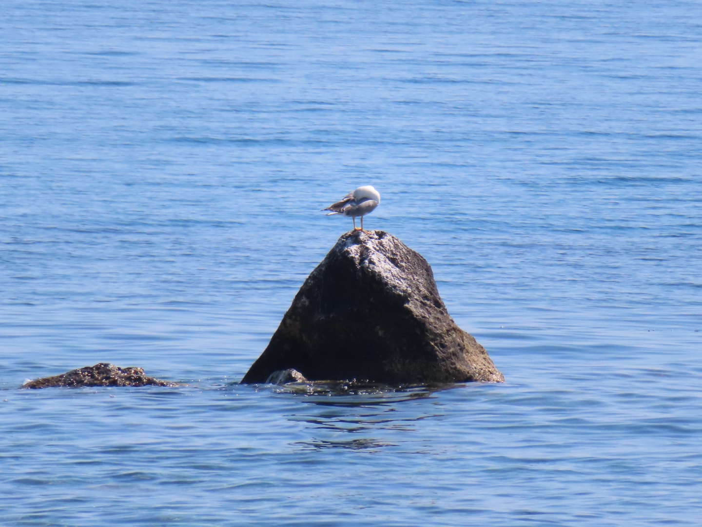 20250403-11_Italië_Sicilië_Giardini Naxos_20250406-103124