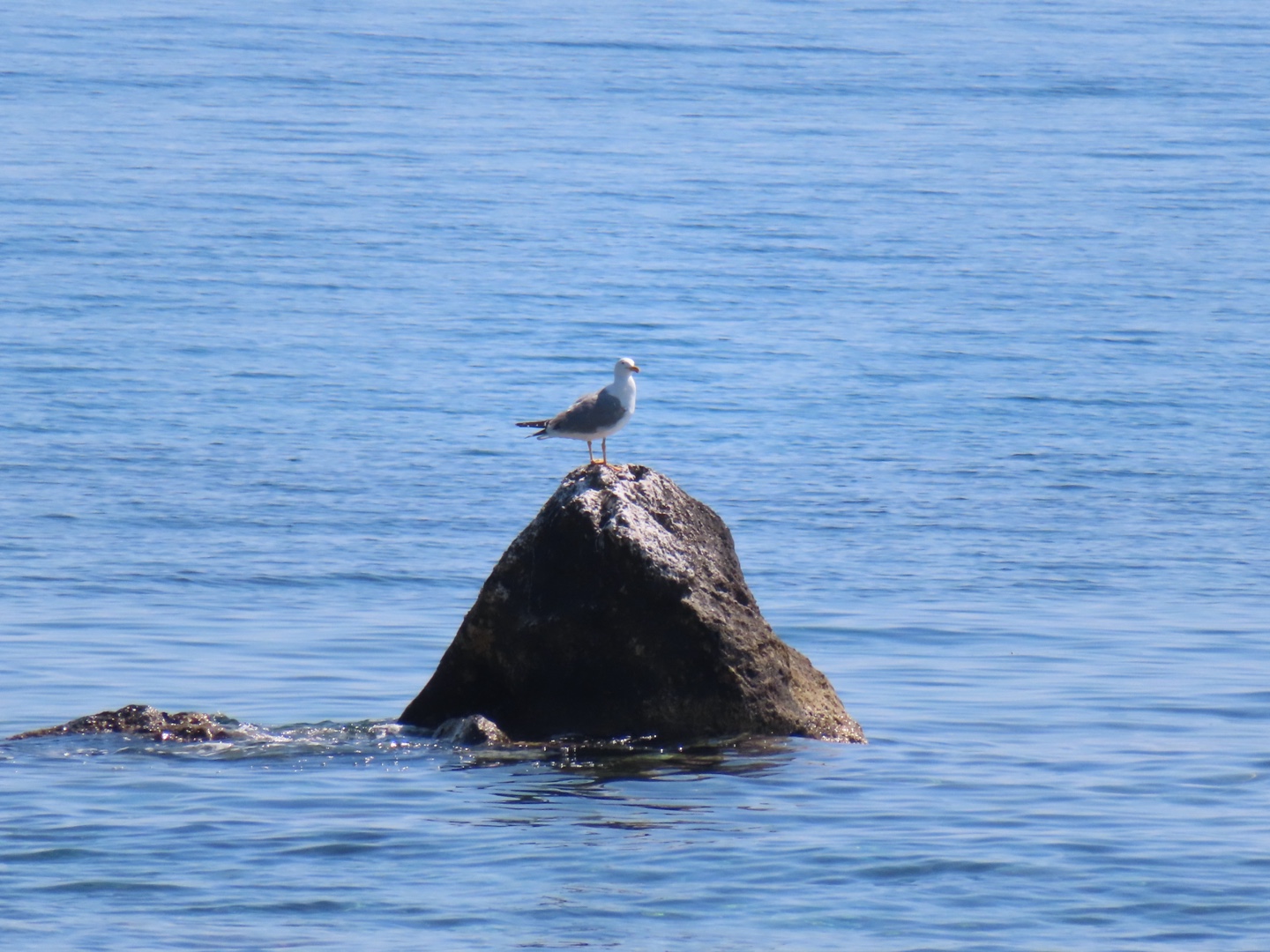 20250403-11_Italië_Sicilië_Giardini Naxos_20250406-103130