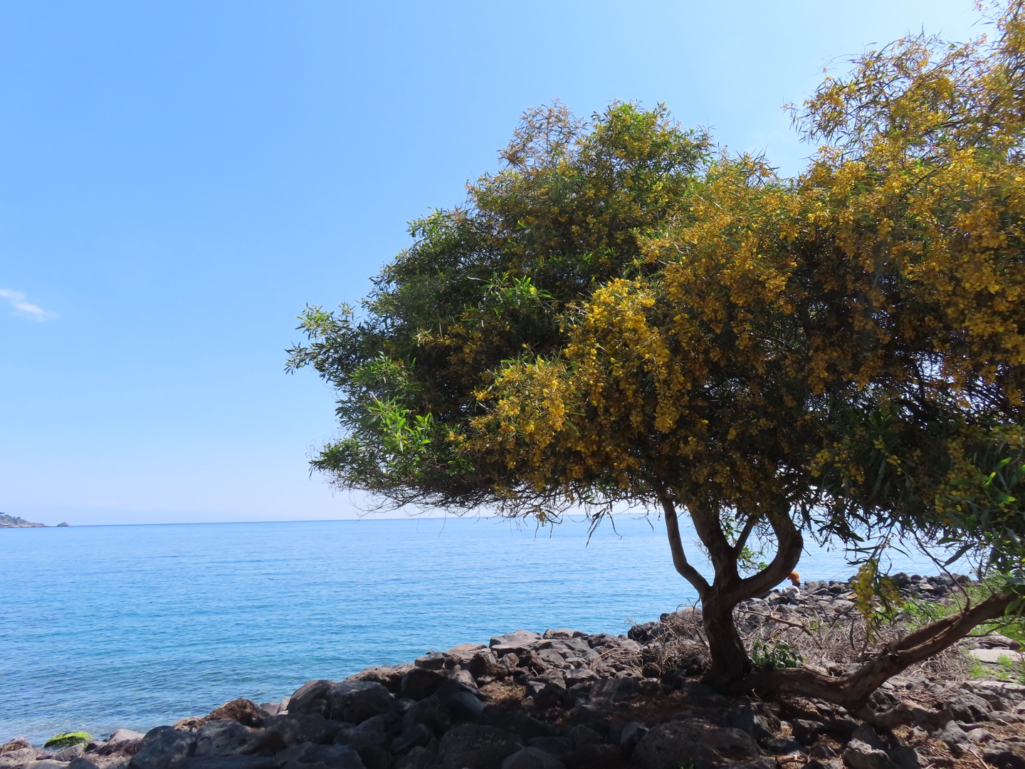 20250403-11_Italië_Sicilië_Giardini Naxos_20250406-103305