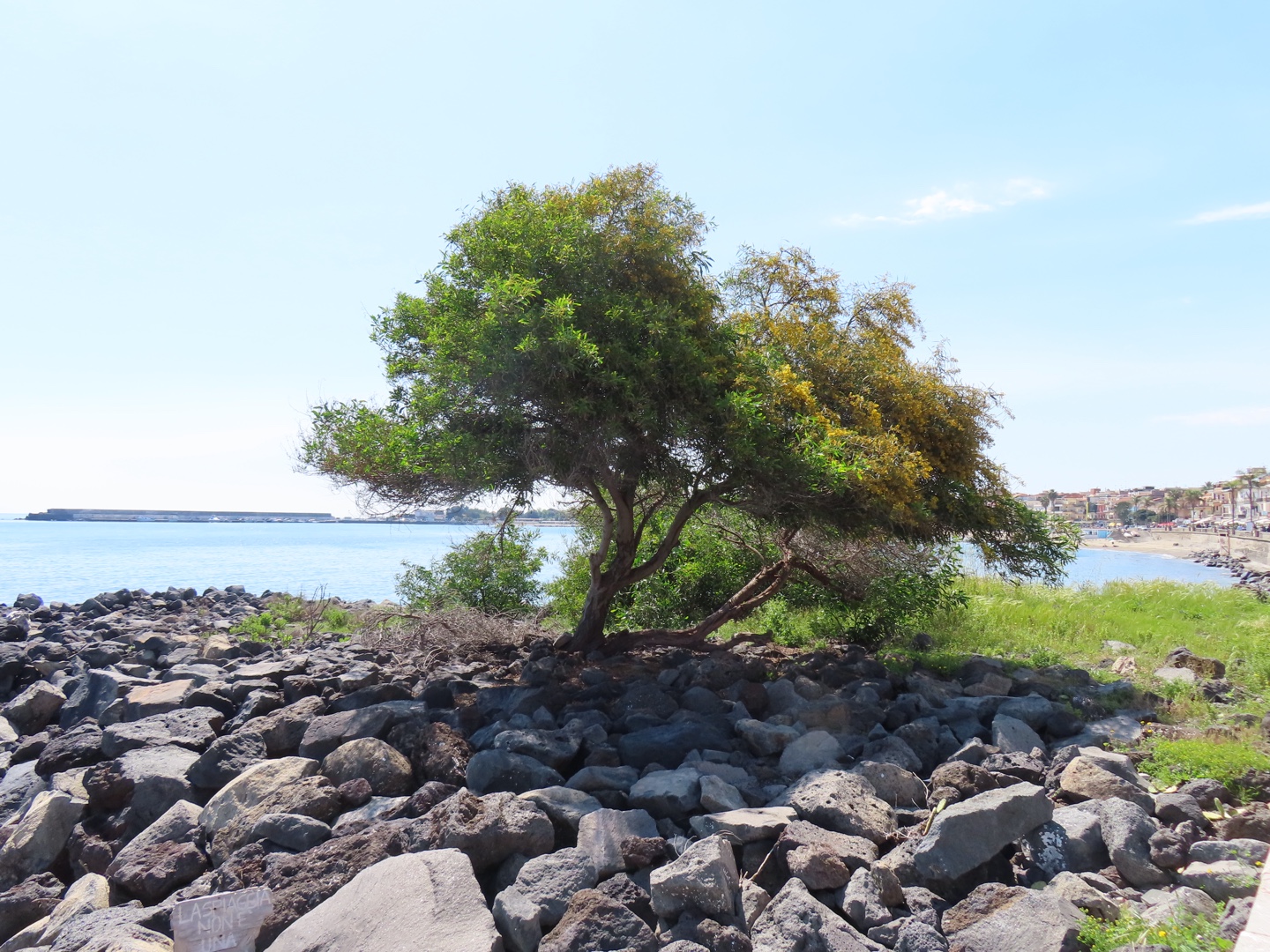 20250403-11_Italië_Sicilië_Giardini Naxos_20250406-103338
