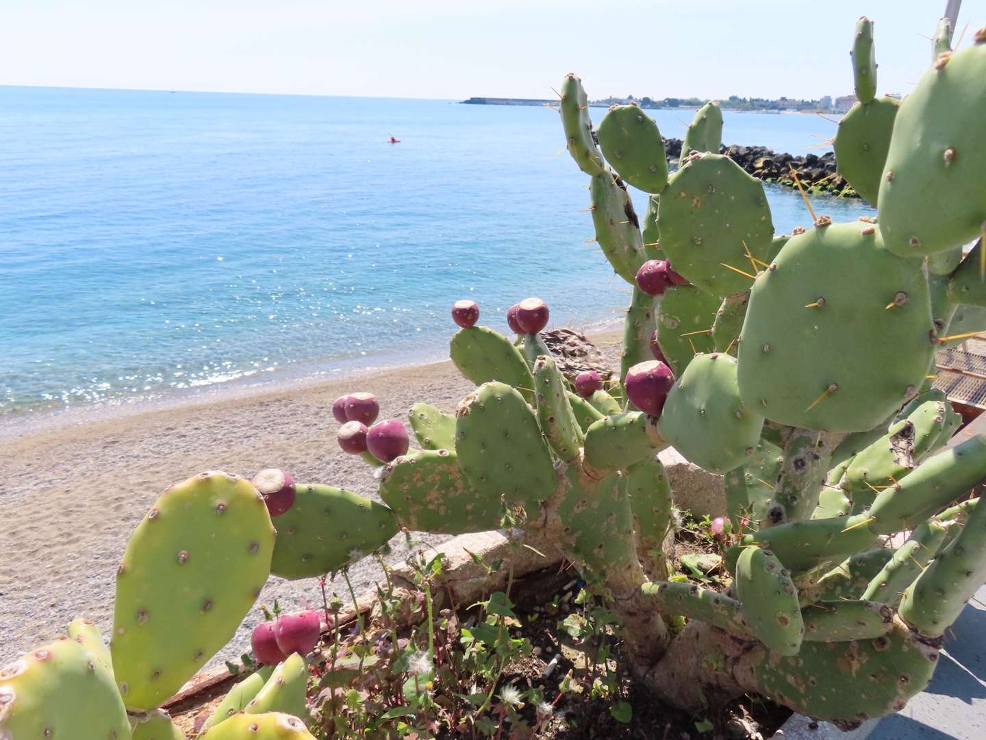 20250403-11_Italië_Sicilië_Giardini Naxos_20250406-104216