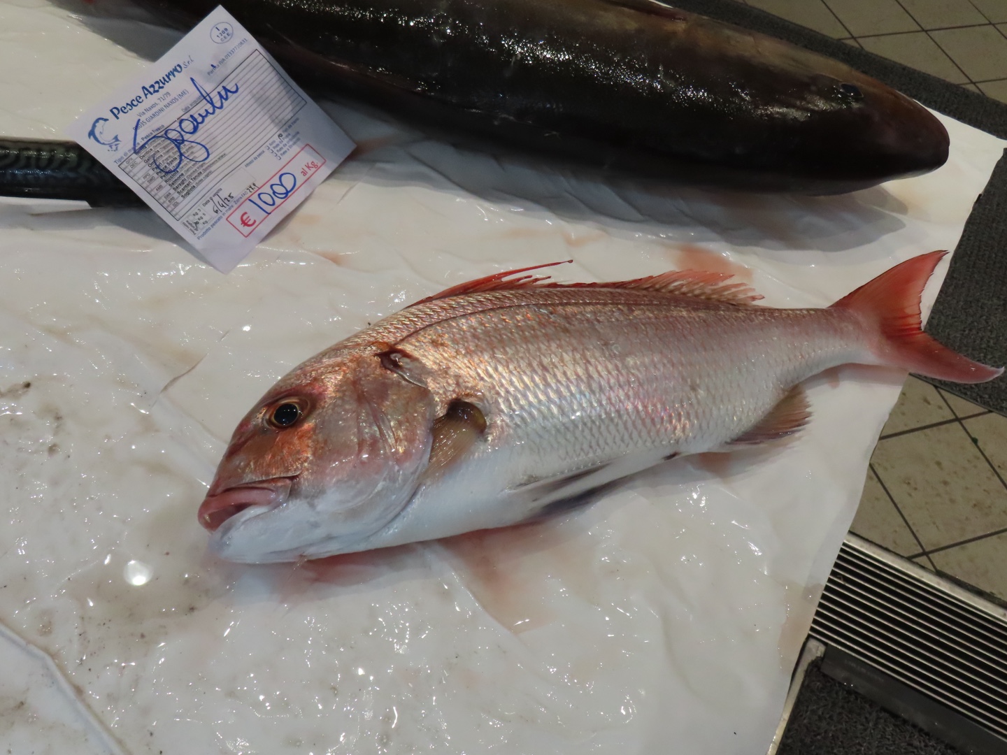 20250403-11_Italië_Sicilië_Giardini Naxos_20250406-110222