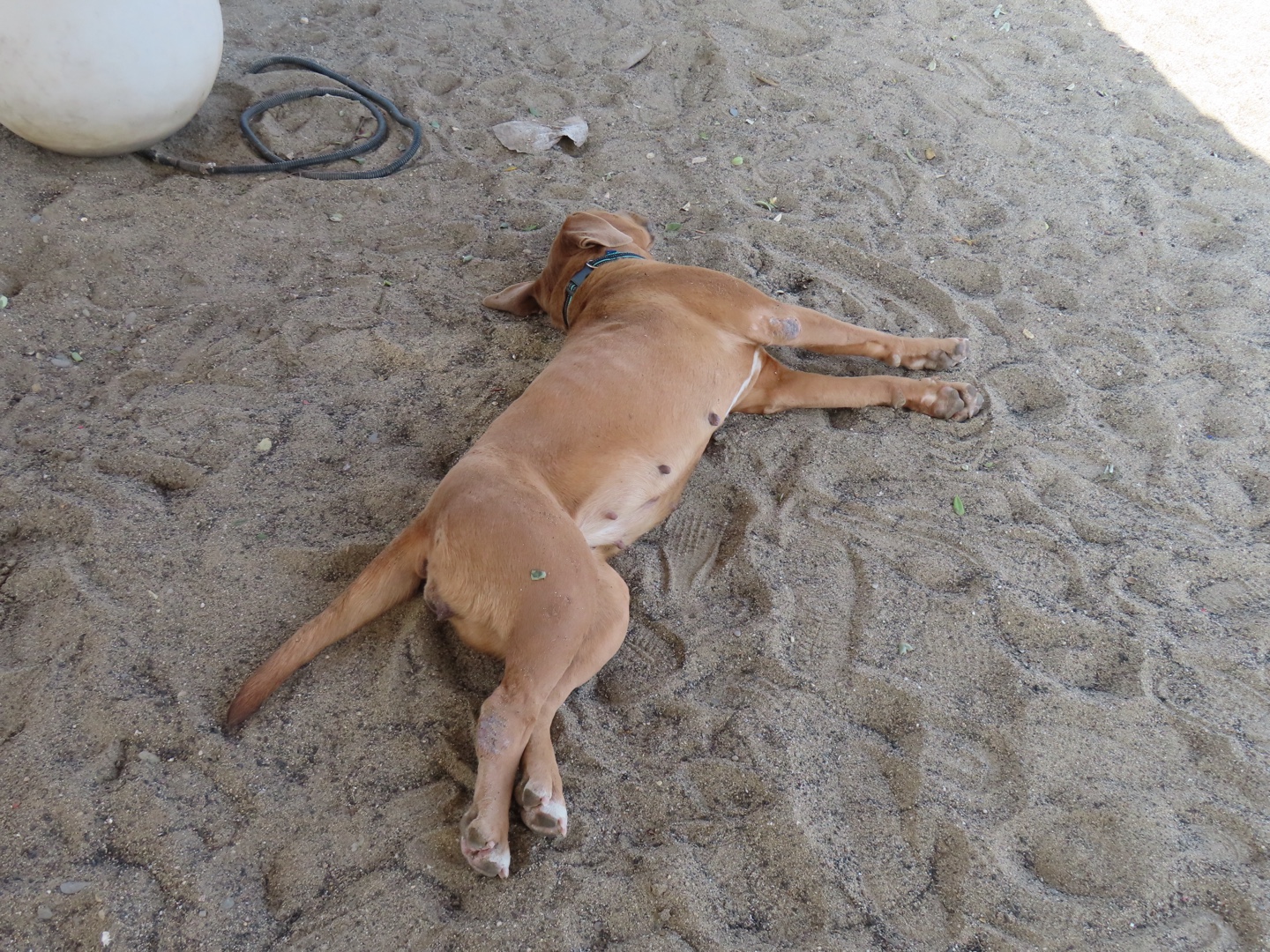 20250403-11_Italië_Sicilië_Giardini Naxos_20250406-112554