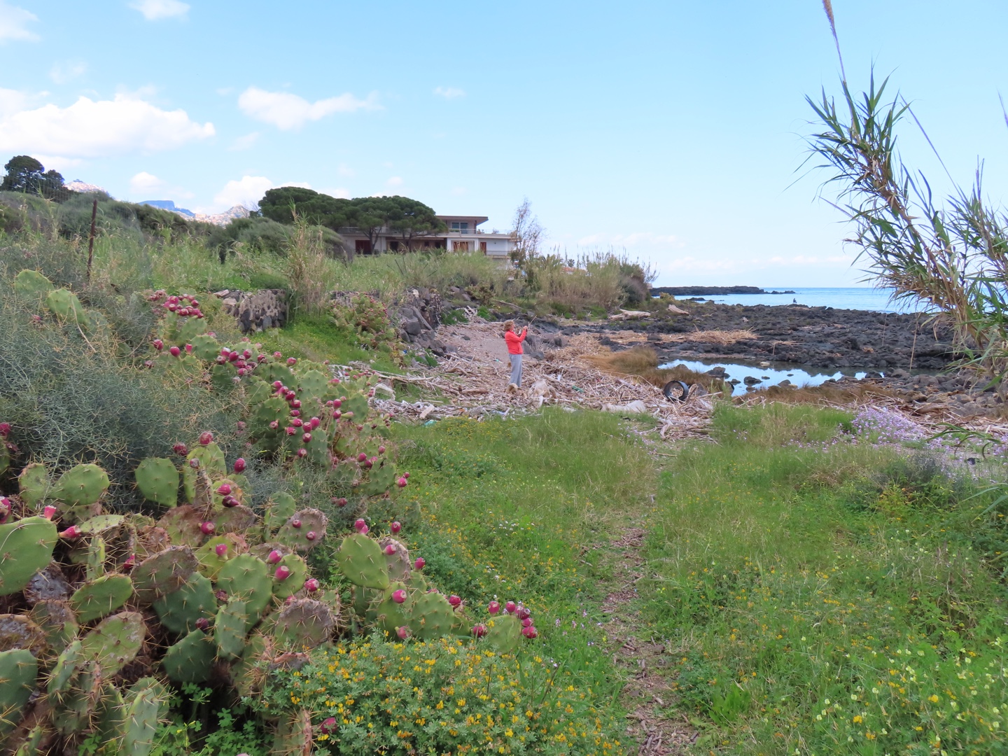 20250403-11_Italië_Sicilië_Giardini Naxos_20250406-145948