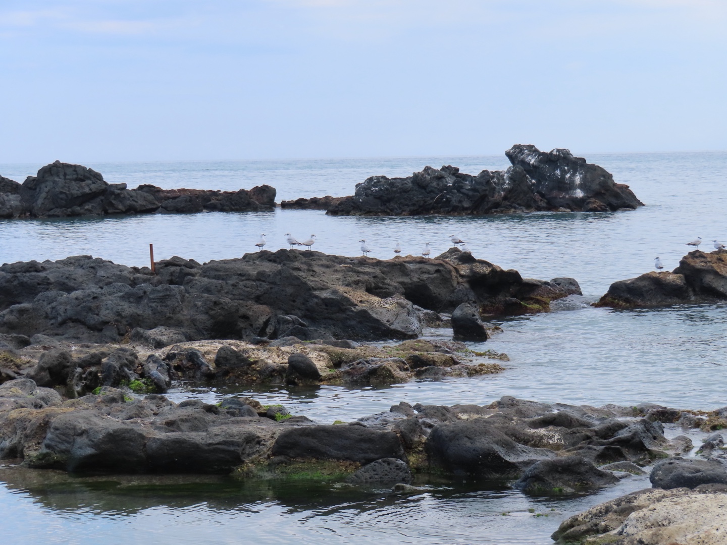 20250403-11_Italië_Sicilië_Giardini Naxos_20250406-150535